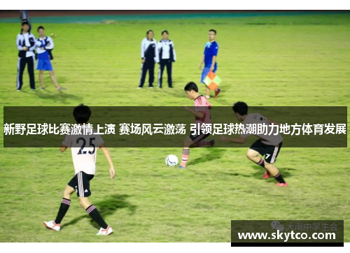 新野足球比赛激情上演 赛场风云激荡 引领足球热潮助力地方体育发展
